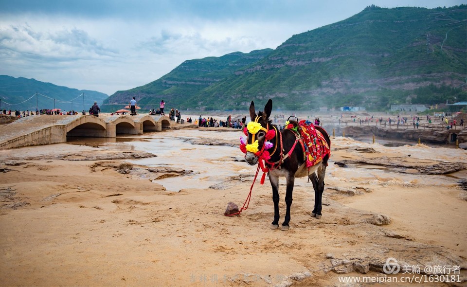 微信图片_20180728224331