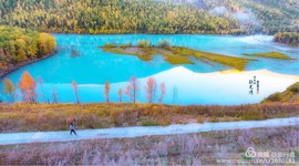 微信图片_20180728224544