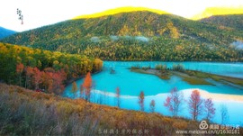 微信图片_20180728224551