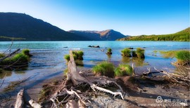 微信图片_20180728224604