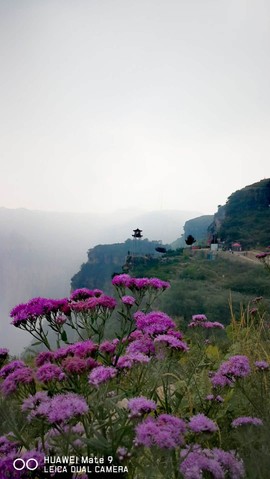 E8ImoWbMOEx3vzmZYzLMWPb2NF4_P0A0Th6jRZQ5ETQI0QYQm8XETHW3MbhFRnie