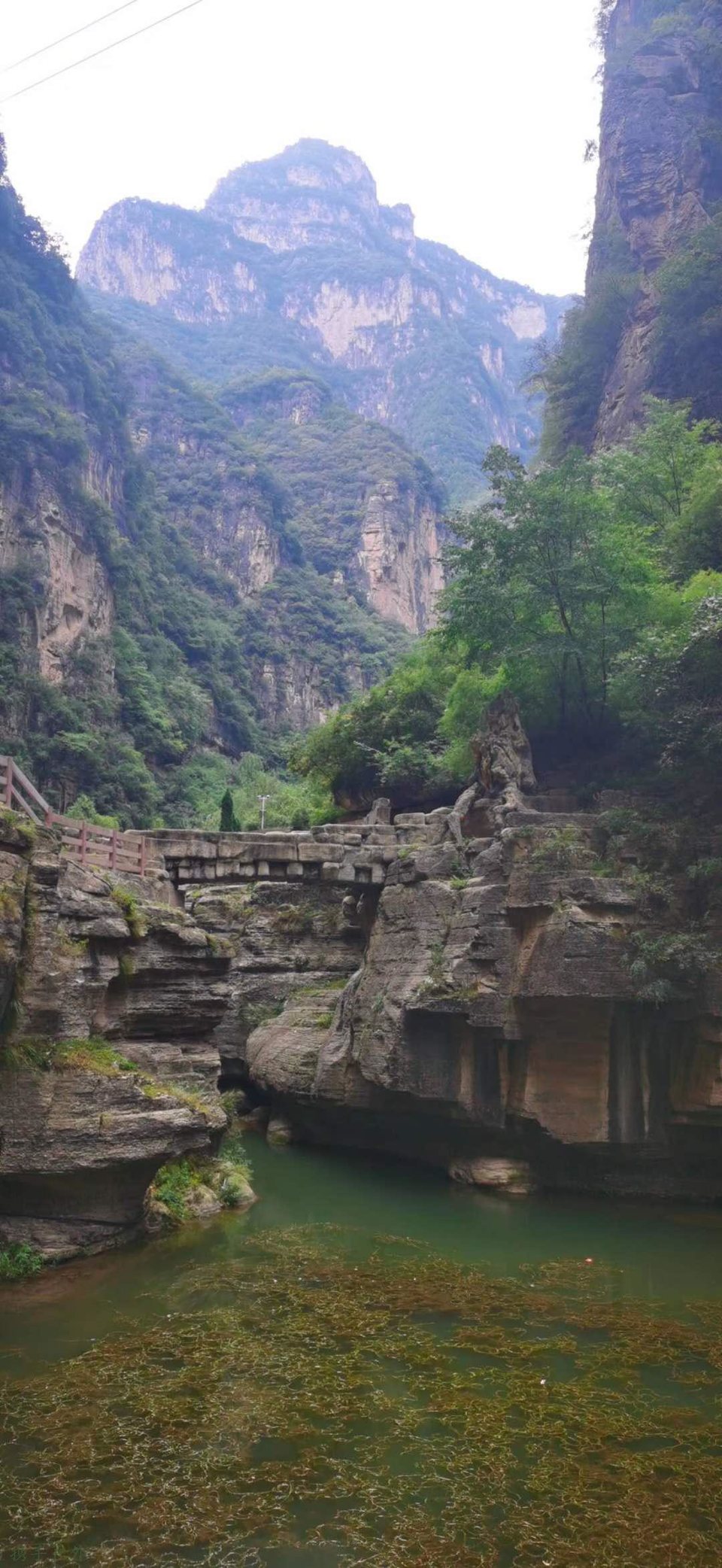 AgqNU8eXsgF7xK9L8RJ4Tnnw1vA3qpne54_ntRGtkmIfuinzvfgYbPS8afGlIGGn