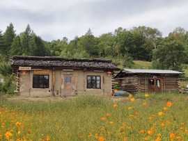 PnfiCNunVfqwu3kZgC9XNDhBqOjoHoZ9rMv95X38CPs2_R4Y8xmAgj5RuH4IdnnB