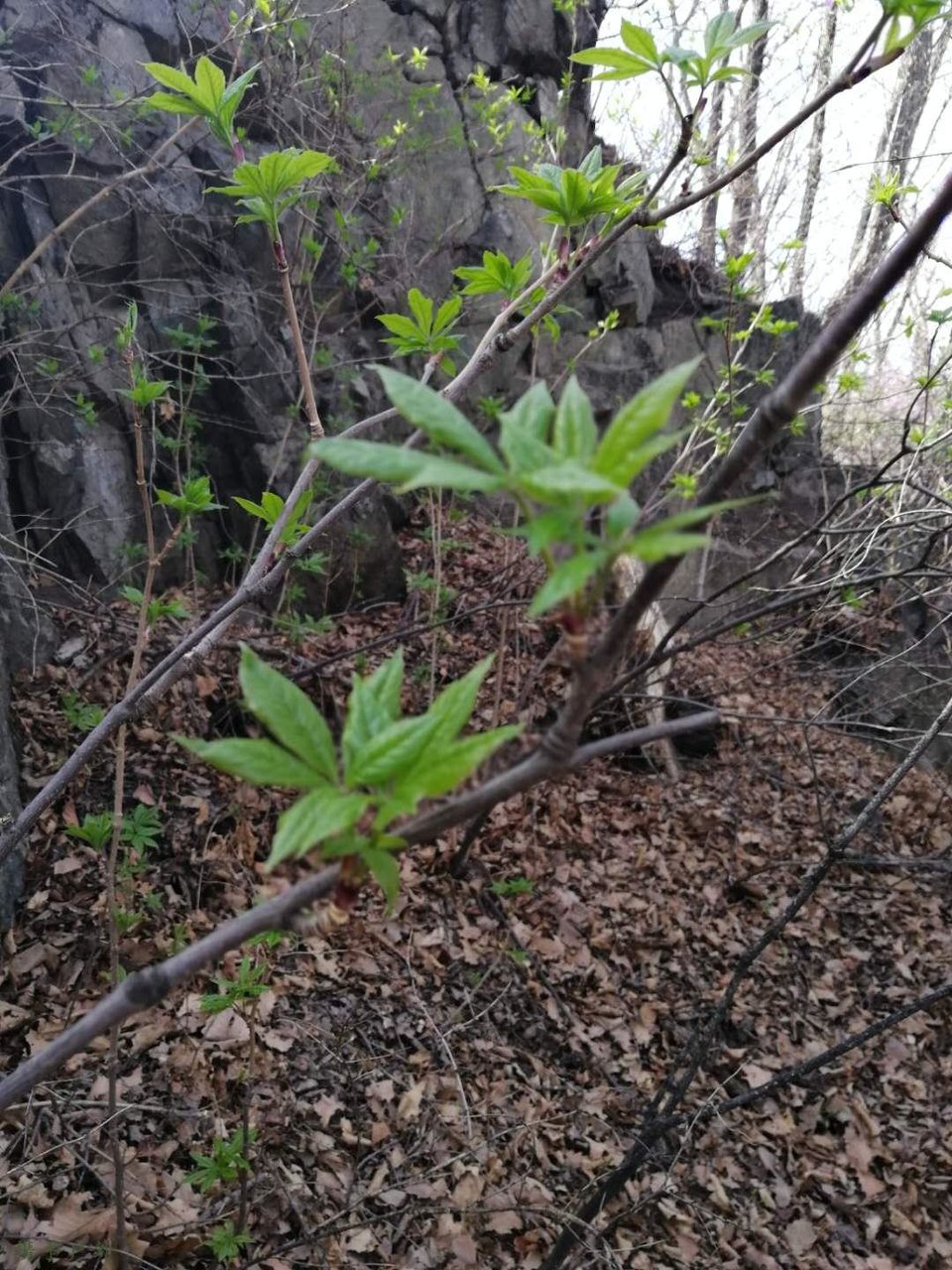 Zi031dDzUbCaUY2O9ymhW3meKY8SvNPyCcOfVDGkes95OJZDOMtiGWxiMPf8axhF