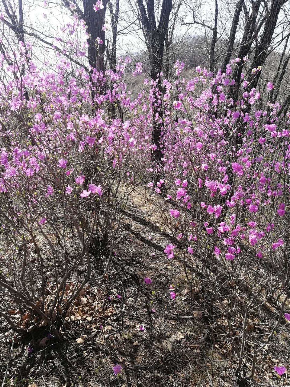 OgAFL248bJFoeq7o9bt778dbjBSj6o01ooTMejiS0mGISCYpwptchNyqZtxWxGEG