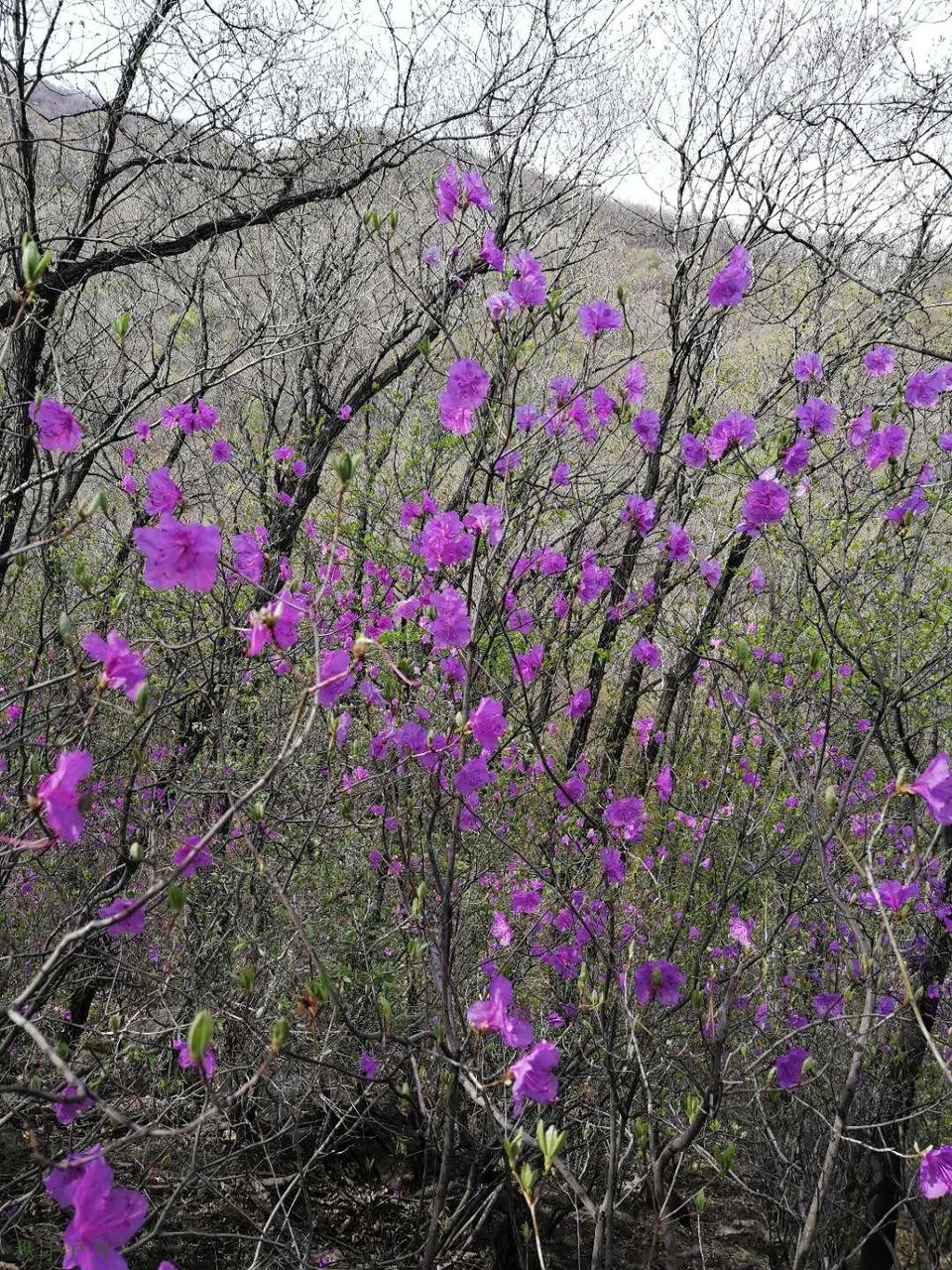 UMmbpSt9vAKLaw9ZOfFfqbbdSK3lP00NhEWGQMM-Z5oCpI0mjTfPLNLqbjMaw_8B