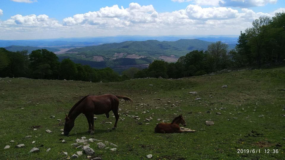 SZXNCoDARihboY8z5ULukd4N9PMPU1yeV3Ouu-w4FmAdhm-UmuoeOdJoKARhL5jh