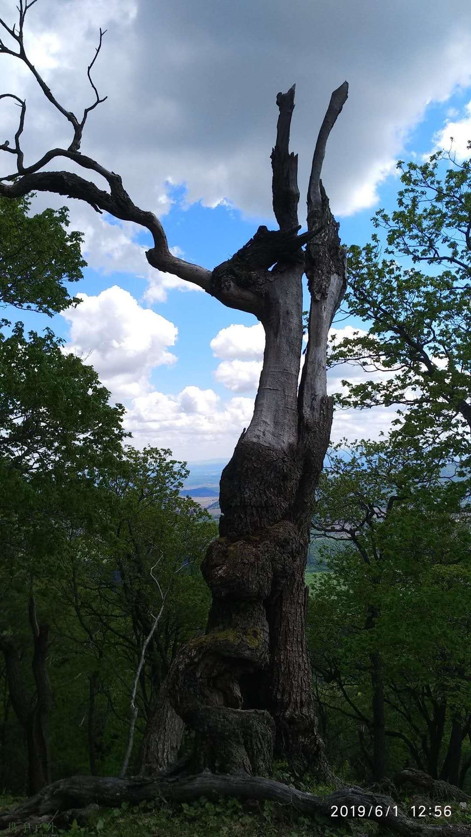 xs8LE5oD-mXN35q7Bl3BiljewnICFZjE4SQGrq9_2sQhCAdUXUXVxuwLomTHqAYm