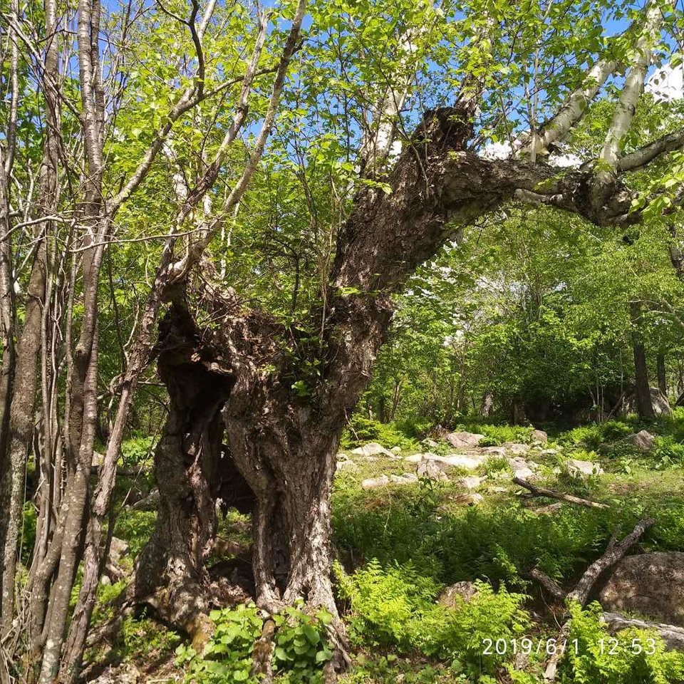 y4rjVDNwaaw94DaFbaAar5p_KBerwrdSNRcEE19E92rMMuLNGvyhcQdEYe6ZrXpu