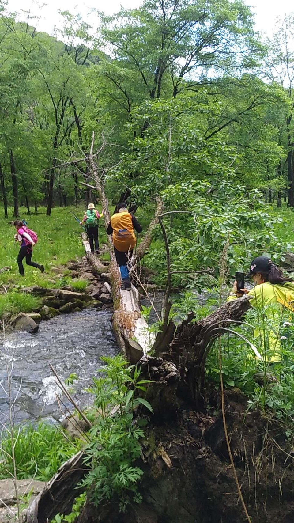 eyLPdyqAQmaNK_2HHkv9aW-XEY2dT2LQmYofrmCrzjeXgw_1ElJ4e_JxLJDZiEny