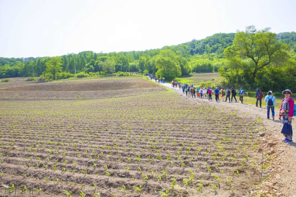 46-yofZXv_yBZMq8yItIroUooPBVxGd5QPsRDi0_rJk2N4y4MkCeGXb6X2GbzIz2