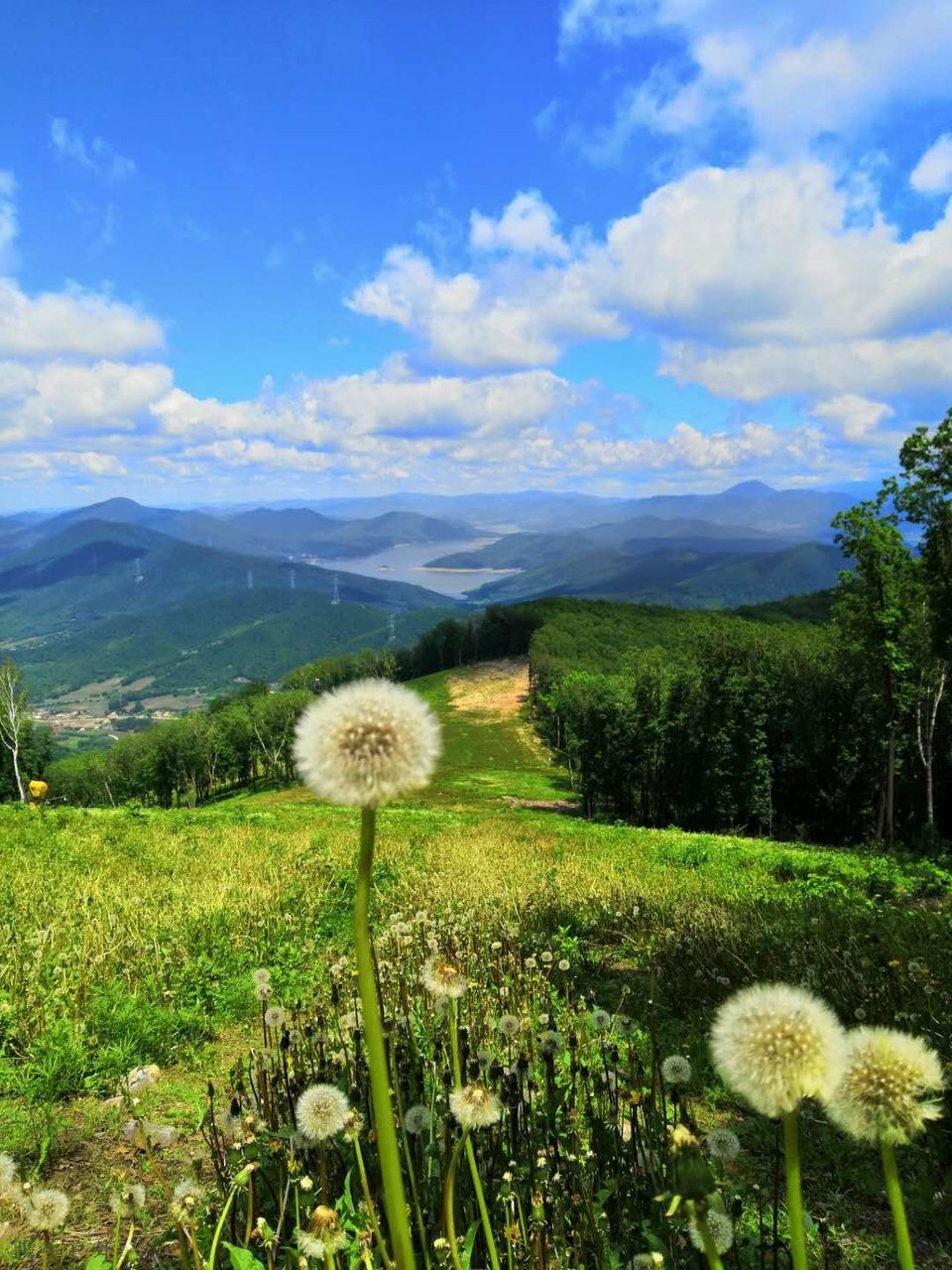 _HYLtE42eMFFFISHkEZlQ5iKlJuA1VZ6RYBgu7LfustOb4eQh2-21rfA_-o2ky2M