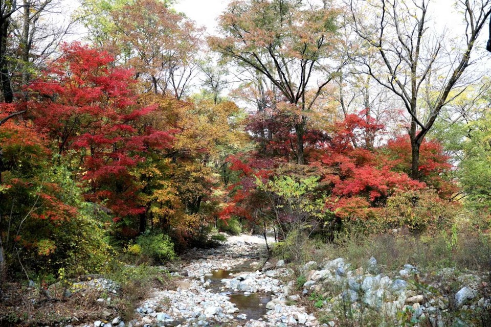 P_y_alCzTWBw_efDPSXh7L1INF0Ex8bdQdDNjW9ARyx-kdK9XaCw-AC8eQEDu9UM