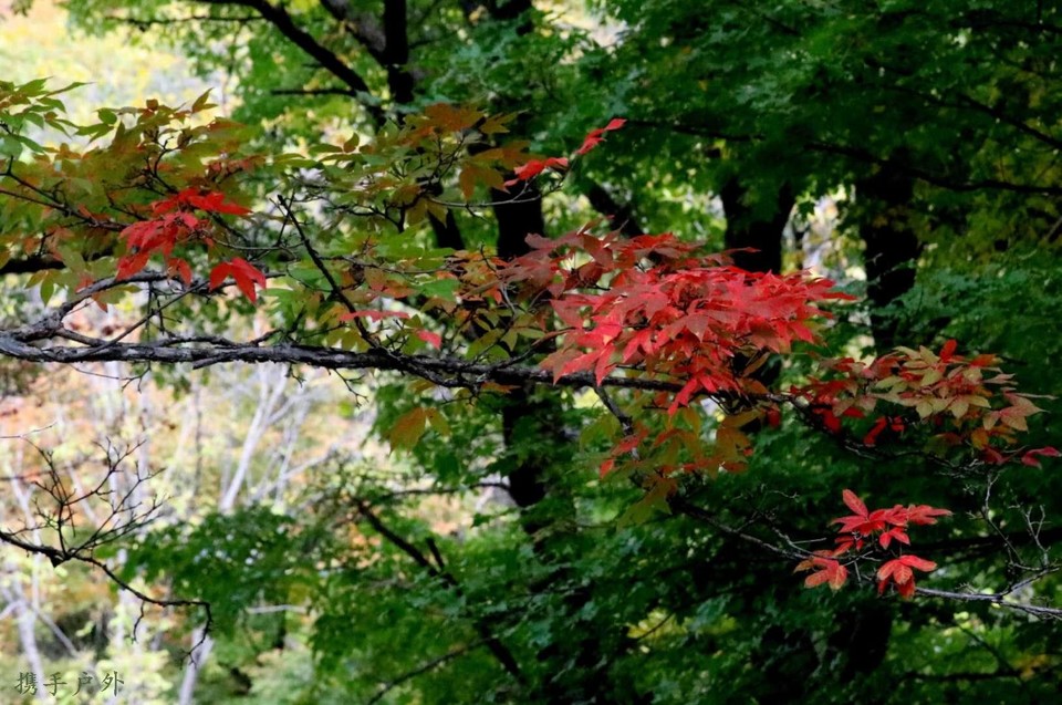 2xOSwrinmovexwkTmK694wULKauMA4pURLbtetCemoy5PfaBc8nDwItdlHJWJdIB