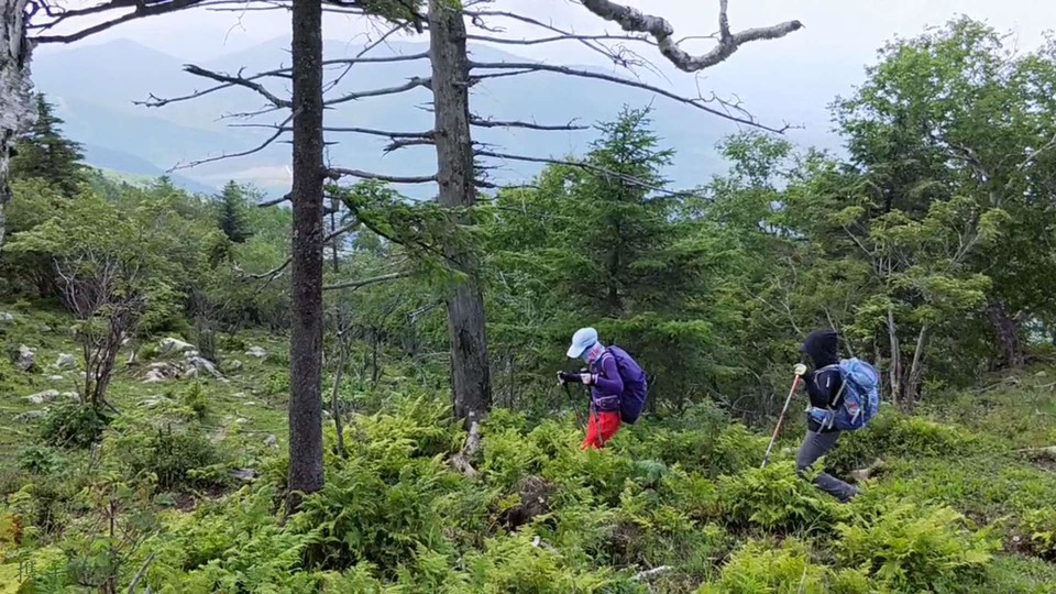 xOkzOoPYdI9A0Ysy_Om0fBTYPY_KMAB8JMUAdz3plz22inOZp_96m9Z9-52351KJ