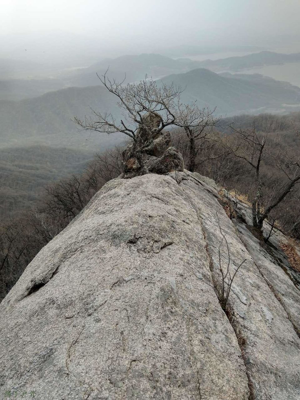 GIXKVvvEUD0CDLtdLQ_SacMeuKUrt6F6YBiEgXS_Y8x4VySruiQkaZFjbs-JQiX1