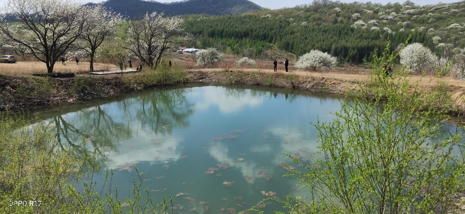 i4yUJ45BTJfTEyvd8Xu-sfqDZTO-PfBaFPhtHW3sFwV3LrCyo0o7L1PstMpIt-02