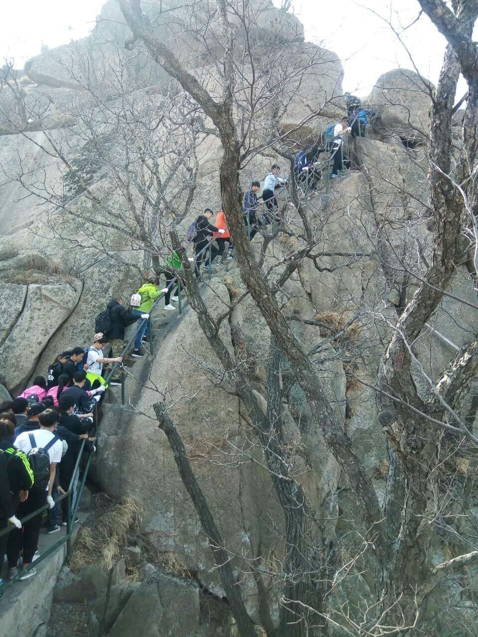 mmexport1491442746911