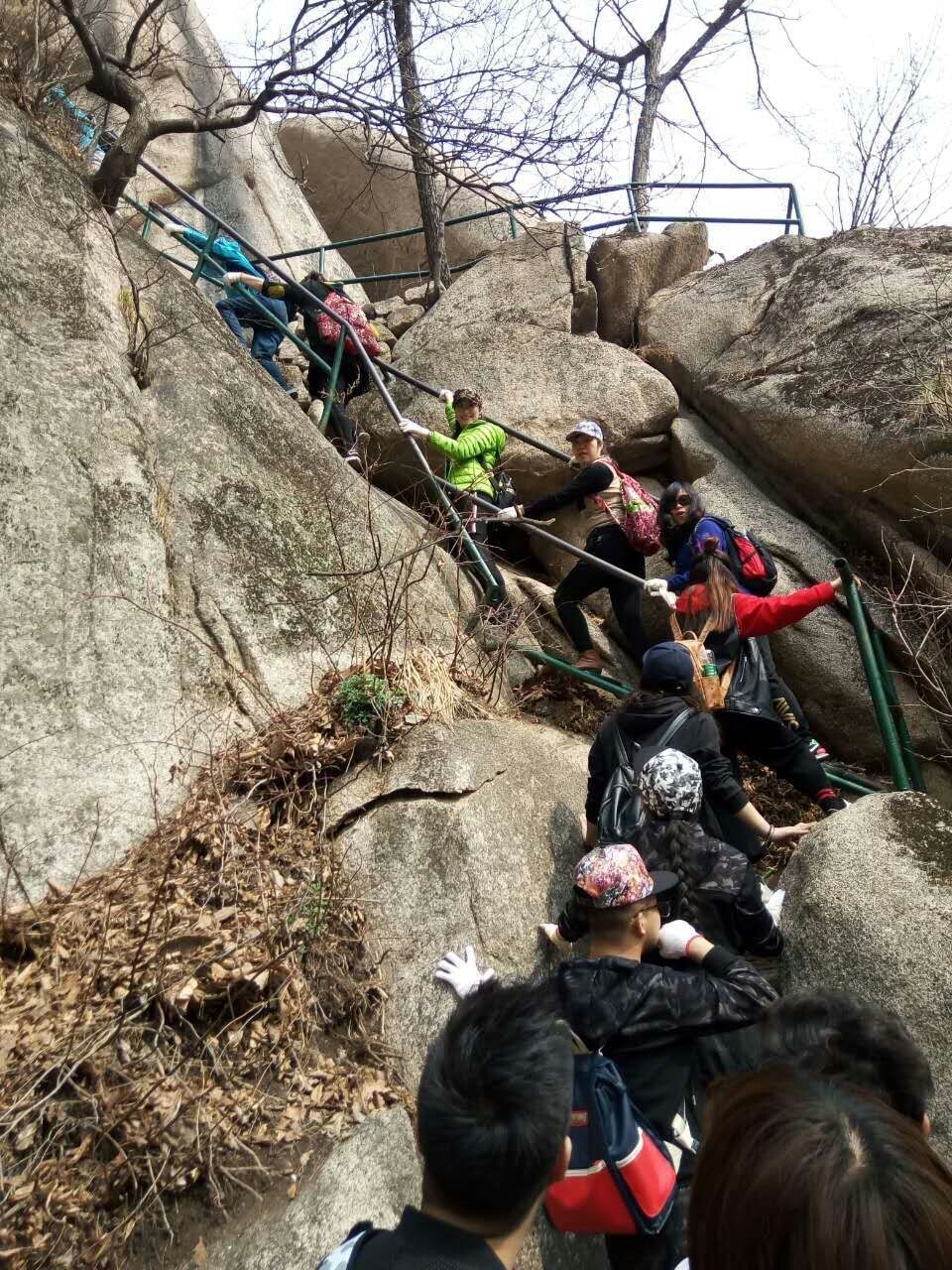 mmexport1491442706275