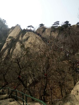 mmexport1491442721569