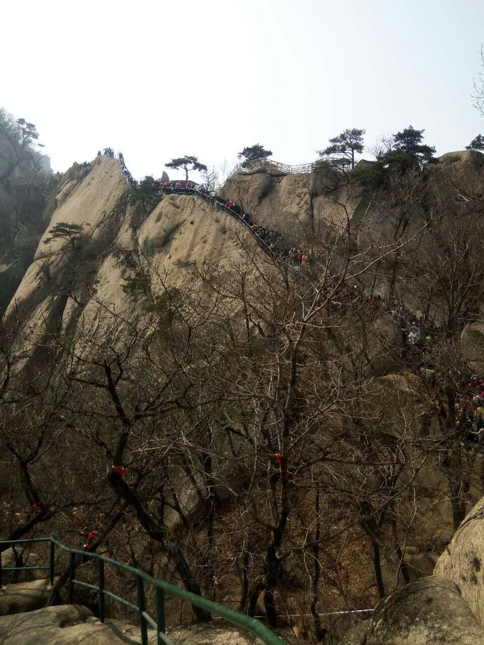 mmexport1491442721569