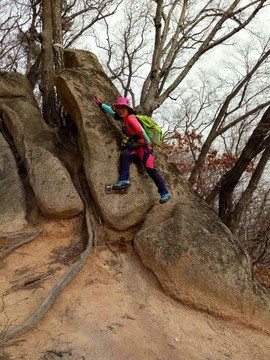 mmexport1491442778430