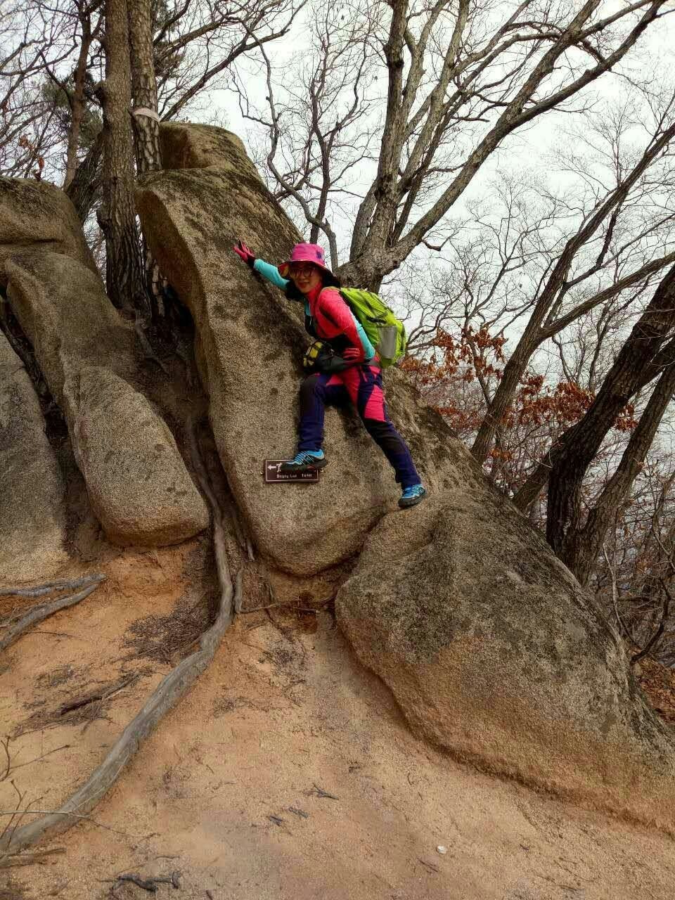 mmexport1491442778430