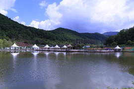 20170604100409_IMG_5417