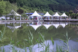 20170604102120_IMG_5462