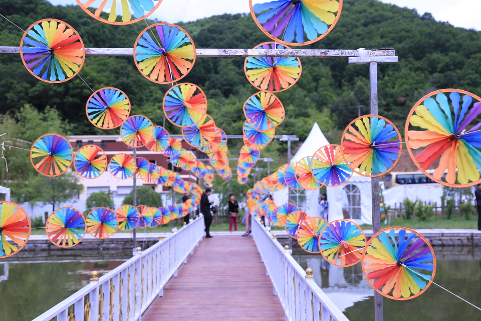 20170604103614_IMG_5488