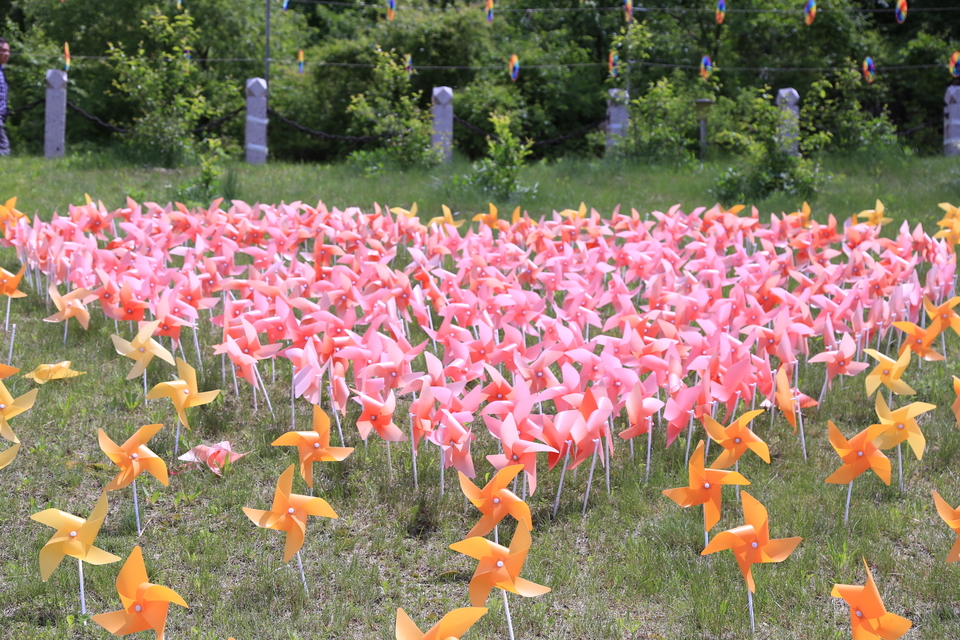 20170604105132_IMG_5516