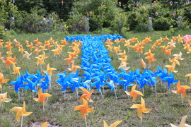 20170604105146_IMG_5517