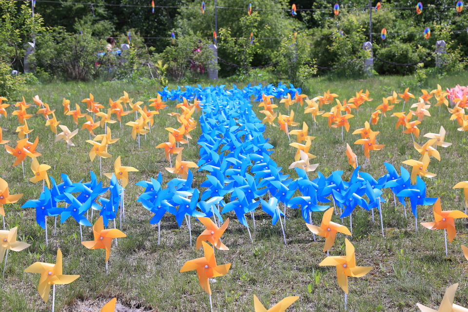 20170604105146_IMG_5517