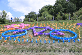 20170604105212_IMG_5519