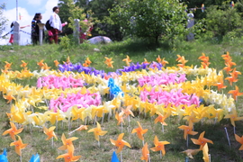 20170604105235_IMG_5521