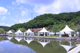 20170604105259_IMG_5523