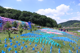 20170604105519_IMG_5527