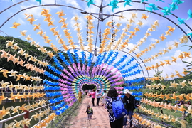 20170604105633_IMG_5533