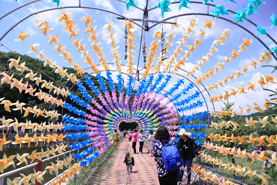 20170604105633_IMG_5533