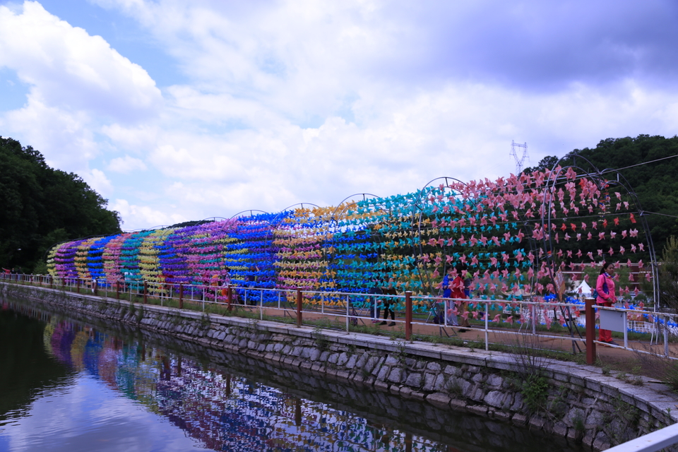 20170604110408_IMG_5539