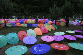 20170604110436_IMG_5540