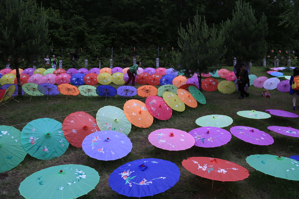 20170604110436_IMG_5540