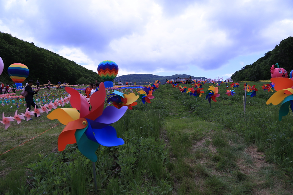 20170604111303_IMG_5562