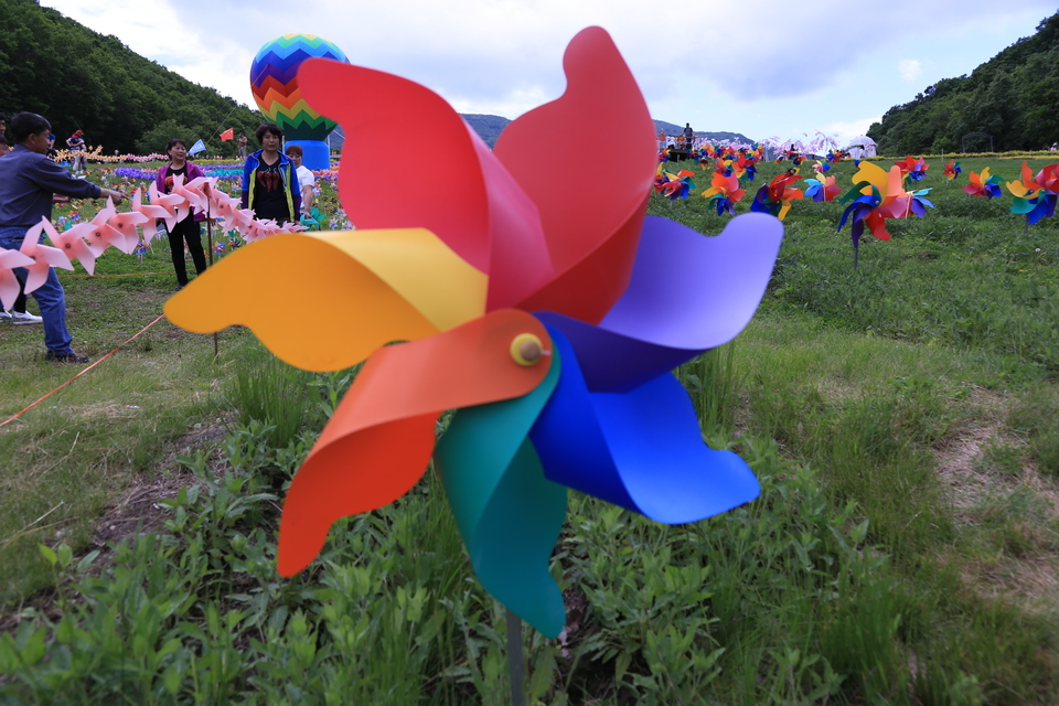 20170604111328_IMG_5565