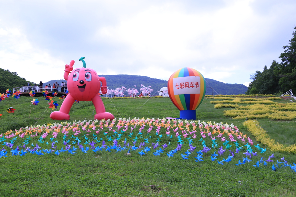 20170604111831_IMG_5584