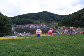 20170604112405_IMG_5596