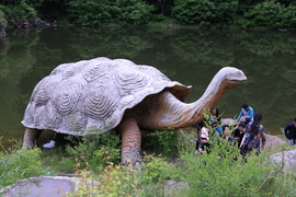 20170604114225_IMG_5612