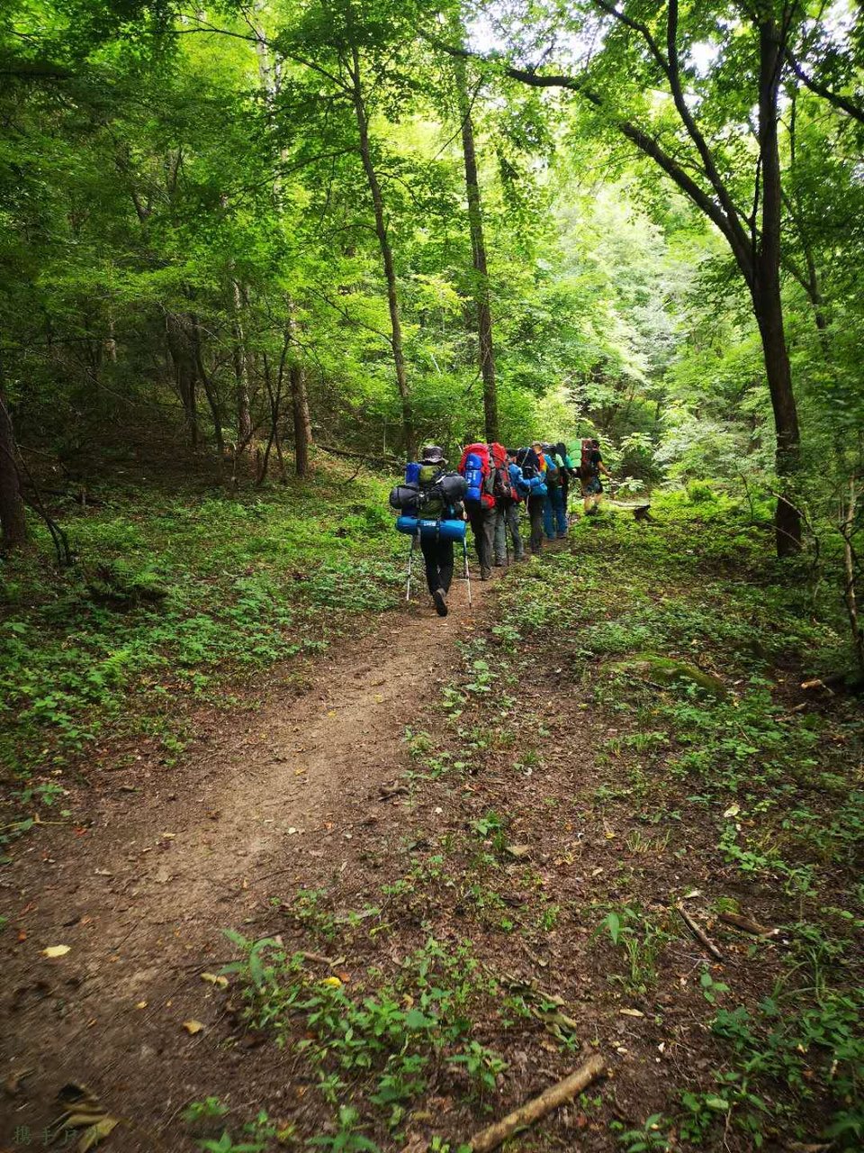 4lL6nL19bvCrxOjmAzfaCoDxpsIxVC4_DKg2rPjESsLFR8dE_rNJMx1hOAHYGWvd