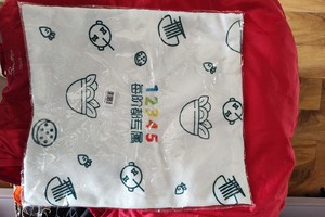 （300积分兑换）便携袋购物袋