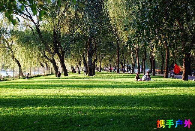 1749366980257590237.jpg 1749366980257590237.jpg